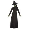 Ladiesc Wicked Witch Ladies Costume - Smiffys