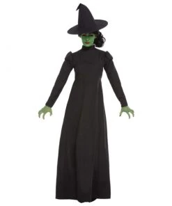 Ladiesc Wicked Witch Ladies Costume - Smiffys