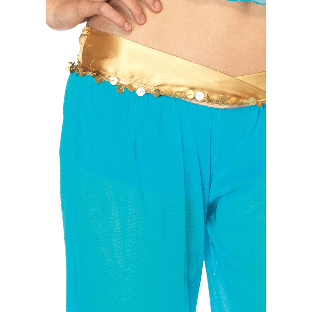 Tomfoolery Arabian Beauty Ladies Leg Avenue Costume 5 Tomfoolery Arabian Beauty Ladies Leg Avenue Costume