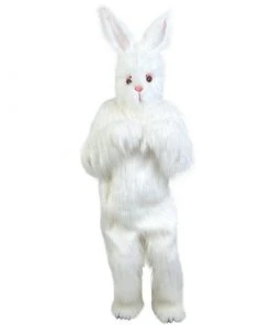 Easter Bunny - Hire