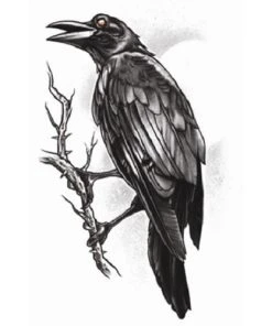 Carnival Products Tinsley Temp Tattoo - The Raven Tattoos