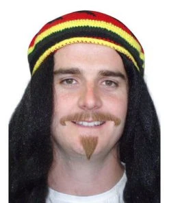 Carnival Products Facial Hair Moustache 2 Pc With Goatee