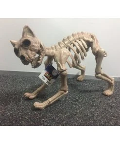 Tomfoolery Skeleton Cat Halloween Decoration Prop Props