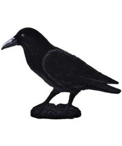 Tomfoolery Raven 18 X 30 Cm Props