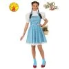 Rubie's Deerfield Dorothy Deluxe Costume, Teen/Adult