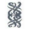 Carnival Products Accessoriesc Tinsley FX Temp Tattoo - Borneo
