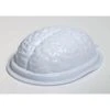 Forum Novelties Halloweenc Brain Mold 2 Pack