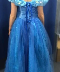 Princess Ball Gown Costume - Hire