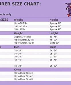 Forum Novelties Spaced Out Ladies Costume