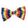 Forum Novelties Rainbow Bow Tie Accessoriesc