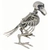 Tomfoolery Skeleton Bird Halloween Decor Halloweenc