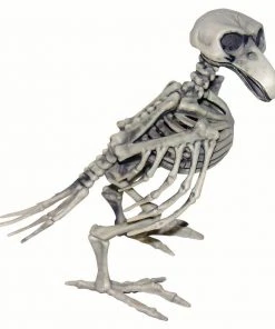 Tomfoolery Skeleton Bird Halloween Decor Halloweenc