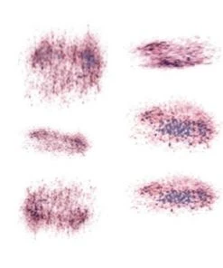 Carnival Products Tattoos Tinsley FX Temp Tattoo - Hickie