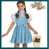 Rubie's Deerfield Girls Costumes Dorothy Classic Costume - Girls